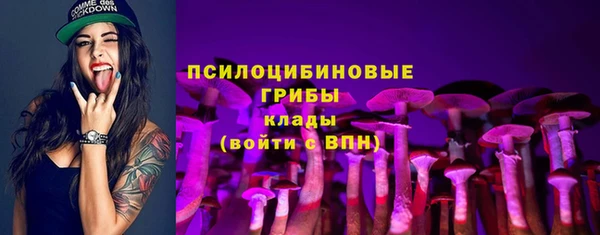 Альфа ПВП Богородск