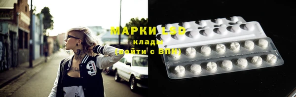хмурый Богданович