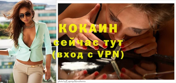 мяу мяу мука Богородицк